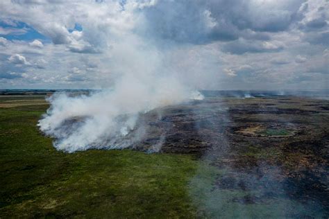 Incendios En Corrientes Historia De Las Políticas Forestales Que