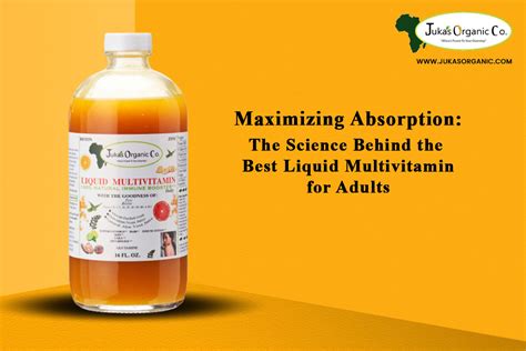 Maximizing Absorption The Science Behind The Best Liquid Multivitamin Juka S Organic Co