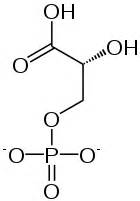 2 Phosphoglyceric Acid Wikipedia