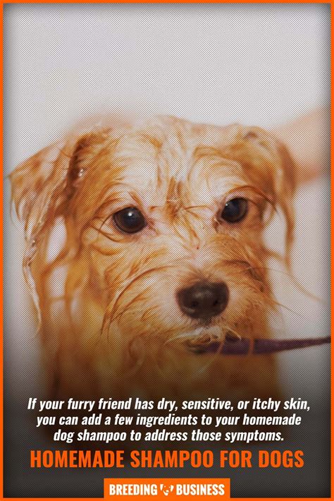 Homemade Dog Shampoo – Key DIY Ingredients, Mixing, Tips & FAQ