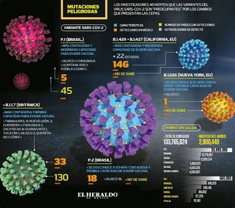 Reporte Salud Identifican Cepas De Covid En M Xico El Heraldo