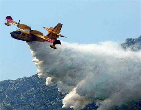 Puglia Gargano In Fiamme Incendi Nei Boschi E Sul Promontorio Vigili