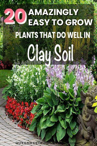 Gorgeous Plants To Grow In Clay Soil Artofit