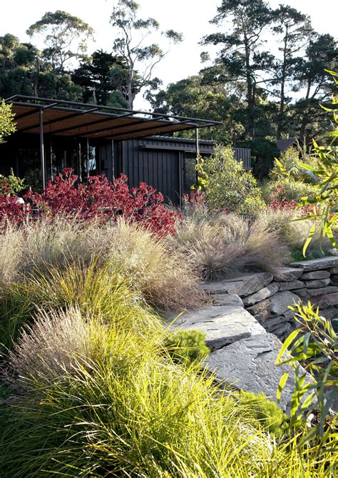 Native Garden Ideas Designs That Ll Have You Digging Deep