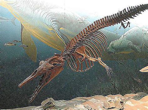 Pictures and Profiles of Prehistoric Whales