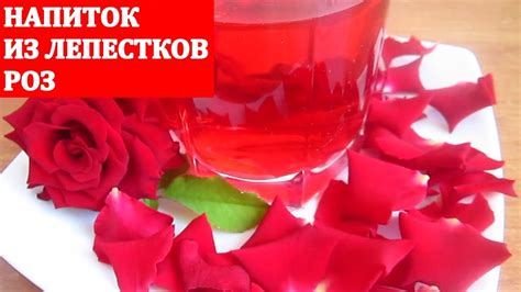 НАПИТОК ИЗ ЛЕПЕСТКОВ РОЗ / DRINKS FROM ROSES - YouTube