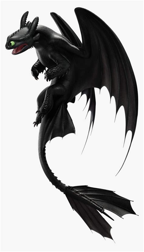 Night Fury Png Toothless And Light Fury Transparent Png Kindpng