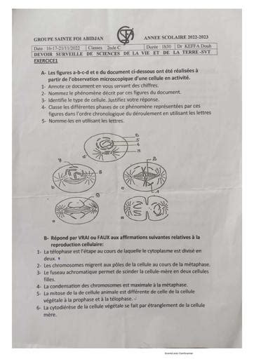 Devoir Svt Nde C Gsfa By Tehua Pdf