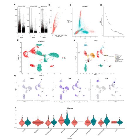 Scrna Seq Data Quality Control And Dimensionality Reduction Clustering