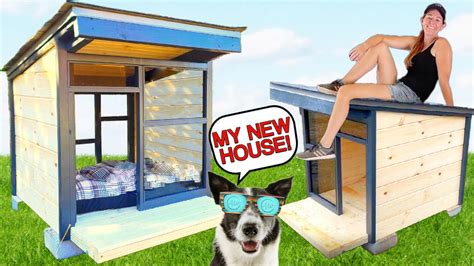 How To Build A Dog House In 8 Easy Steps Wilker Dos