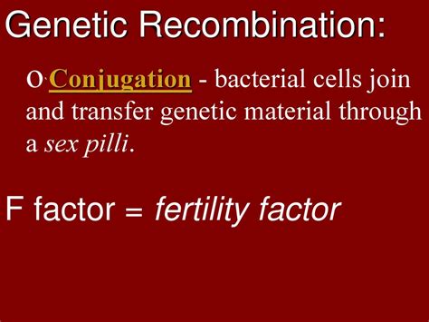 The Genetics Of Bacteria Ppt Download