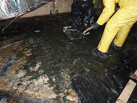 Water Damage Repair Clean Up And Restoration Services Sewage Cleaning