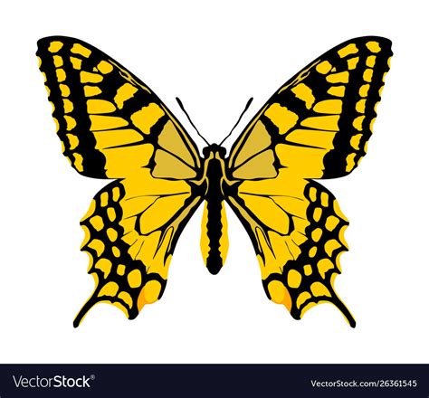 Monarch Butterfly Isolated Royalty Free Vector Image