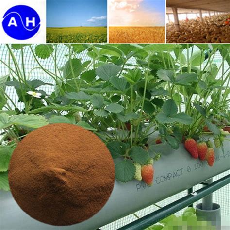 Chelated Copper Iron Zinc Manganese Magnesium Boron Cobalt Flowing Powder Fertilizer Or Feed