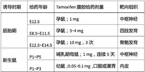 小鼠基础知识八：tamoxifen诱导型cre生物器材网