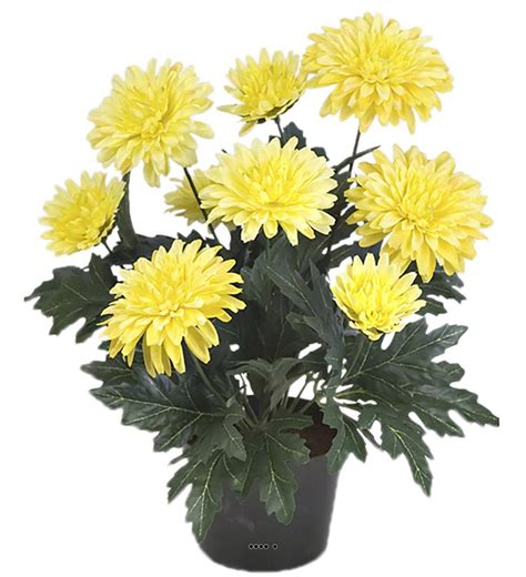 Chrysantheme Artificiel En Pot H 30 Cm 9 Fleurs Adorable Du Site