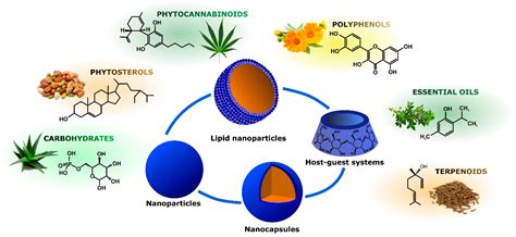 Ijms Free Full Text Recent Advances In Nanoparticle Mediated