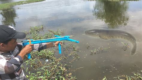 Amazing Man Makes Compound Crossbow Slingshot Bowfishing And Shooting