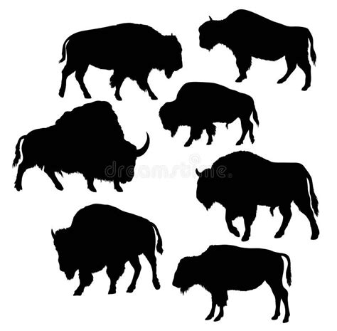 American Bison Vector Silhouette Stock Vector Illustration Of Vector