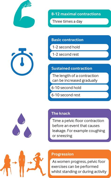 Pelvic Floor Muscle Training A Practical Guide The Bmj