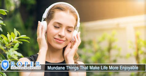 Mundane Things That Make Life More Enjoyable Roper Insurance Services