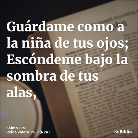 Salmo 17 8 Biblia