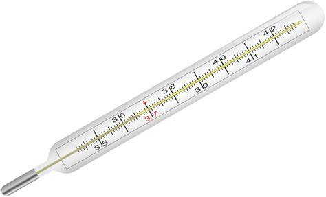 Public Domain Clip Art Image | Thermometer | ID: 13540098021746 ...