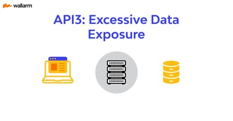 Excessive Data Exposure What You Need To Know