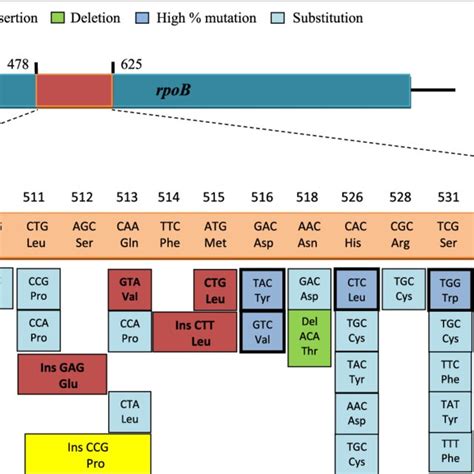 Strips Of Hybridization Patterns Of Rifampicin Resistance In Mtbdrplus