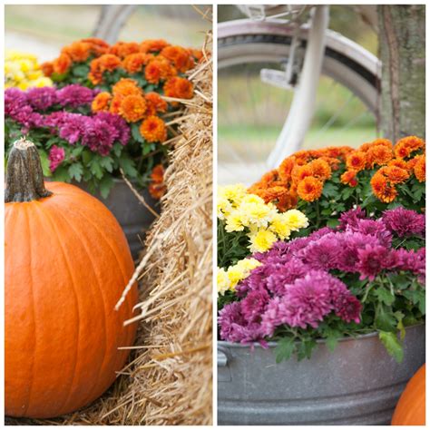 Easy Fall Decorations Using Pumpkins