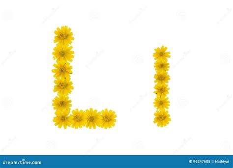 Letter L, Alphabet Made from Yellow Wedelia Flowers Stock Illustration - Illustration of english ...