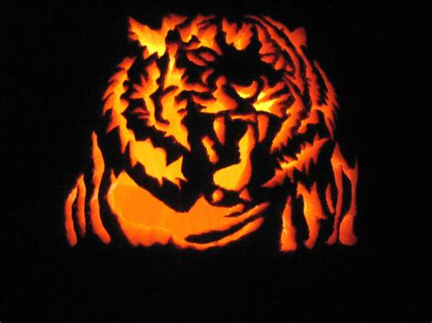 Tiger Pumpkin 3 by ShonnaKay on DeviantArt