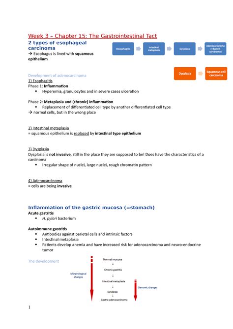 Summary Pathology Dt Alle Hoorcolleges Met Aantekeningen Van