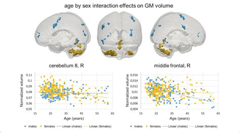 Vbm Results Age By Sex Interactions Top Brain Clusters Showing