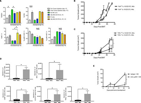 Frontiers Combining Immunocytokine And Ex Vivo Activated Nk Cells As