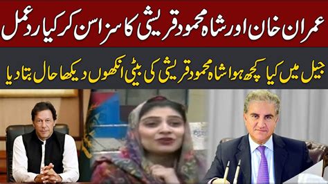 Cipher Case Imran Khan And Shah Mehmood Qureshi Worst Punishment