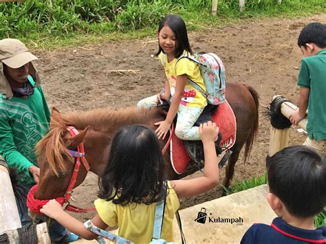 Kuntum Farmfield Bogor Main Di Alam Harga Tiket Ribu