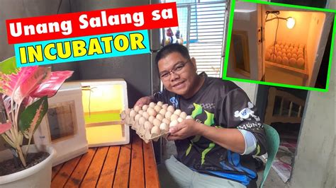 Unang Salang Sa Incubator At Tips Kung Pano Ang Gagawin Sa Itlog Youtube