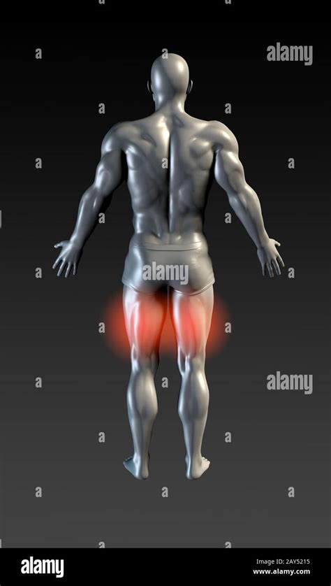 Hamstring Injuries Hi Res Stock Photography And Images Alamy