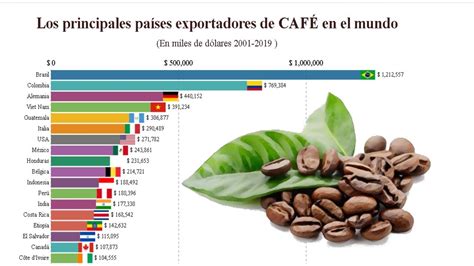 Principales Pa Ses Que Exportan M S Caf En El Mundo