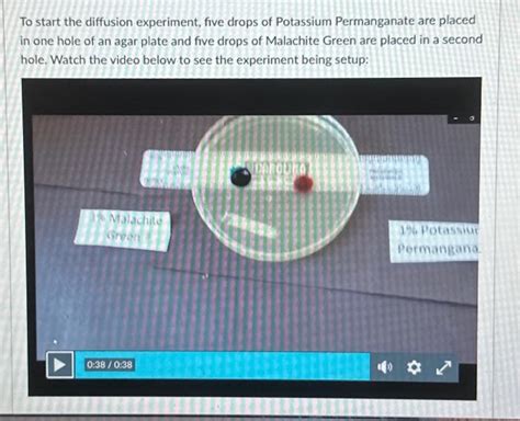 Solved Diffusion Experiment Setup In this first exercise you | Chegg.com