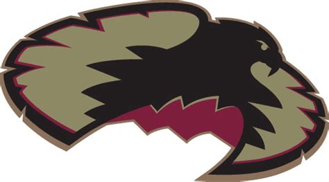 Denver Pioneers Secondary Logo Ncaa Division I D H Ncaa D H