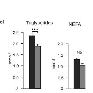 Effect Of CLA Plus N 3 LC PUFA Supplementation On Hypothalamic