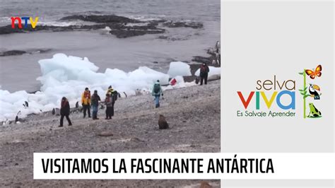 Selva Viva Patagonia La fascinante Antártica YouTube