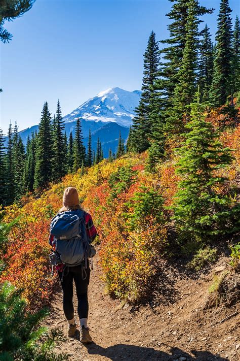 Best Fall Hikes In Mount Rainier Uprooted Traveler