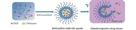 pH敏感聚合物胶束mPEG GDE OE的制备及其载药性能