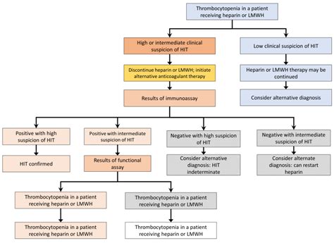 Heparin Induced Thrombocytopenia Tulane University School Medicine Critical Care Project