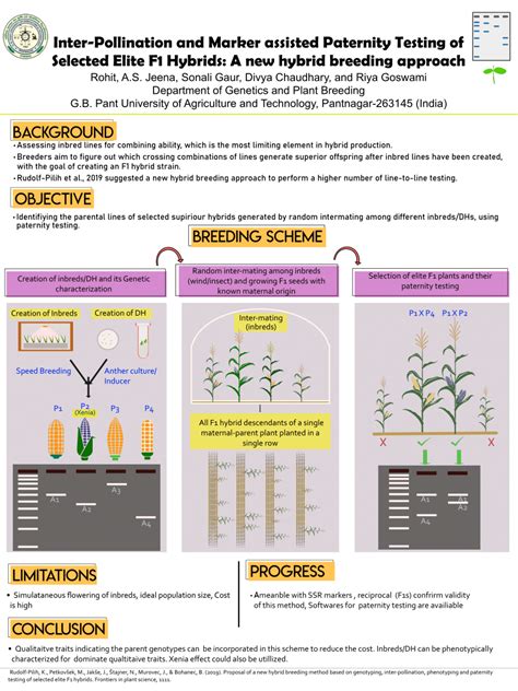 Pdf Inter Pollination And Marker Assisted Paternity Testing Of Selected Elite F1 Hybrids A