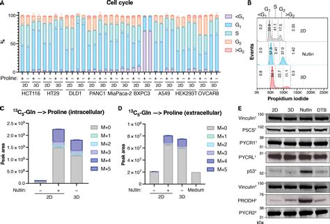 Loss Of Attachment Promotes Proline Accumulation And Excretion In