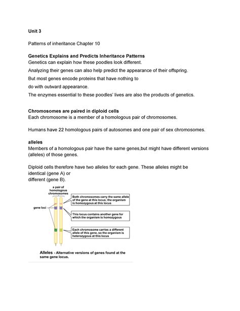 Unit Unit Lecture With Pictures Unit Patterns Of Inheritance